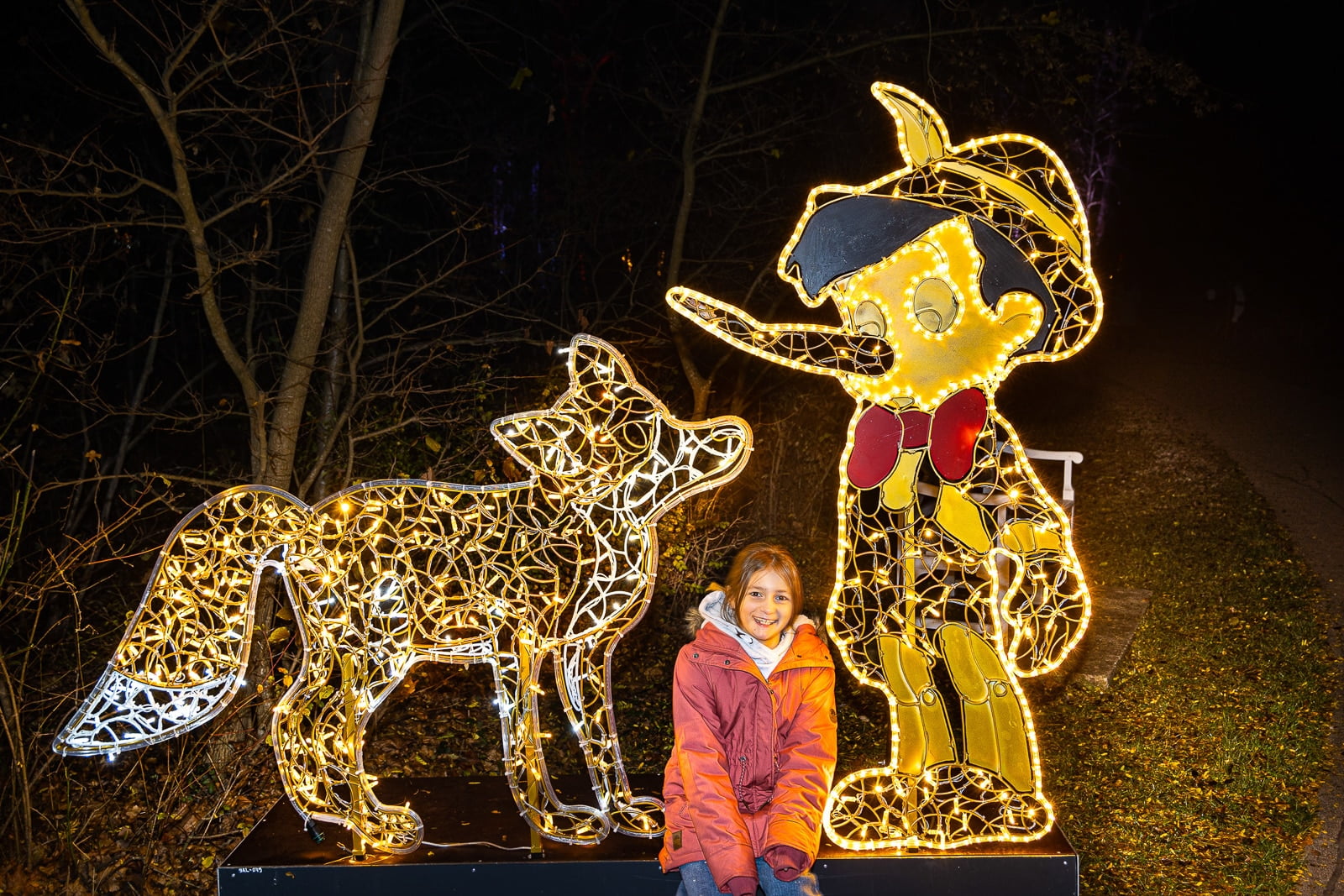 Illumina - Eine magische Reise durch fantastische Lichterwelten.